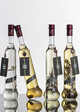 grappa adagio
